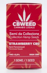 Cbweed Strawberry CBD - 1x feminizované semínko