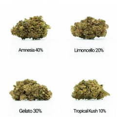 HHC Flowers set de mostre - Tropical Kush 10%, Limoncello 20%, Gelato 30%, Amnesia 40% - 4x1g