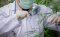 Muž skúma kanabinoid THCH z rastliny konope