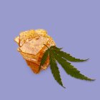 CBD Extracts and concentrates