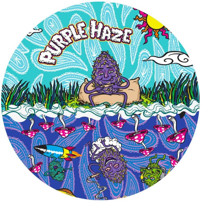 Best Buds Μεταλλικός Μύλος Purple Haze 4 Parts – 50mm (12pcs/οθόνη)
