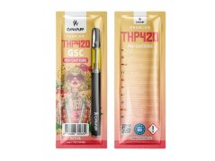 CanaPuff THP420 Pen + Cartridge GSC, THP420 79 %, 1 ml
