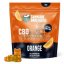 Cannabis Bakehouse CBD グミベア - オレンジ、30g、22 個 x 4mg CBD