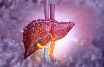 CBD and its effect on liver function