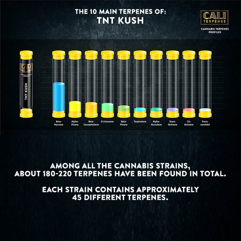Cali Terpenes - TNT KUSH, (1 ml)