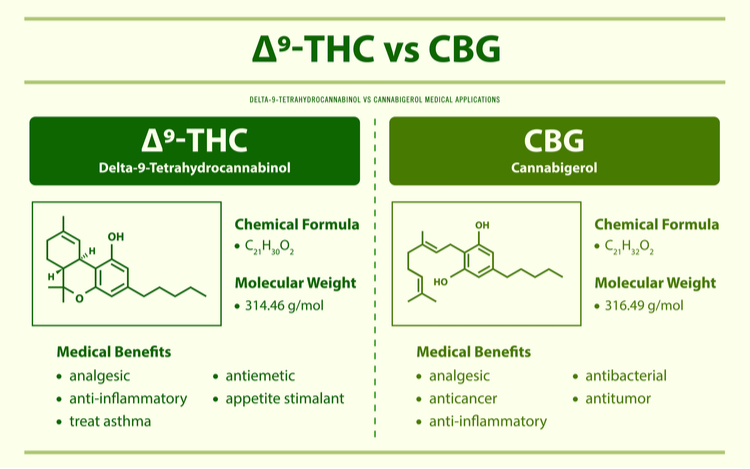 CBG vs. THC