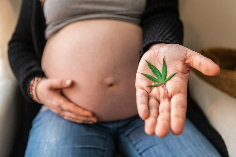 Cannabis und Schwangerschaft