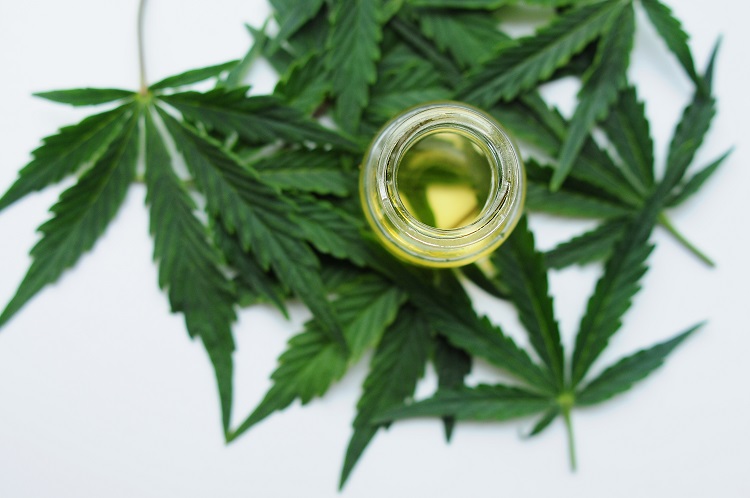 Cannabisblätter und Draufsicht auf das H4CBD-Destillat in einem Glasbehälter
