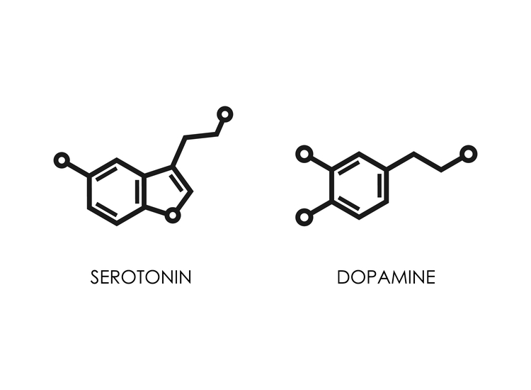 serotonin + dopamin