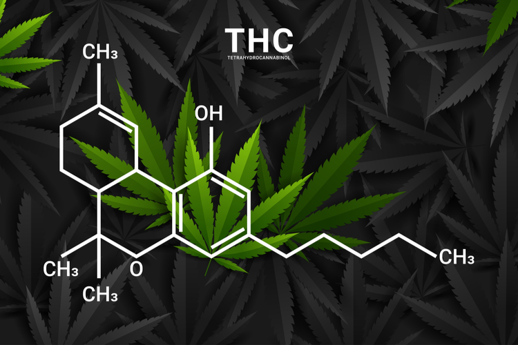 thc-molekul-cannabis-hanf-wirkung