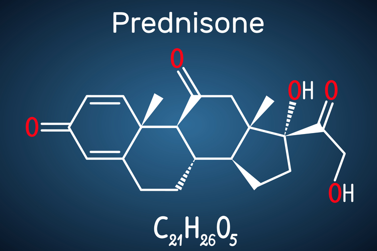 Prednison-Moleküle